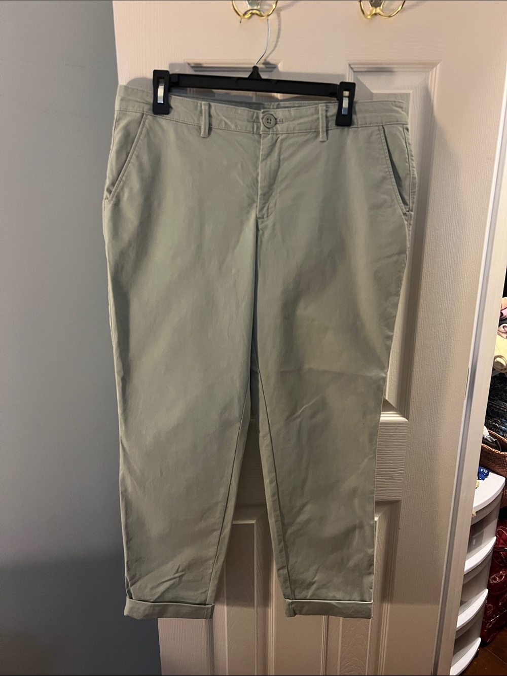 Eddie Bauer Straight Leg Pants in Sage Green; Size 10